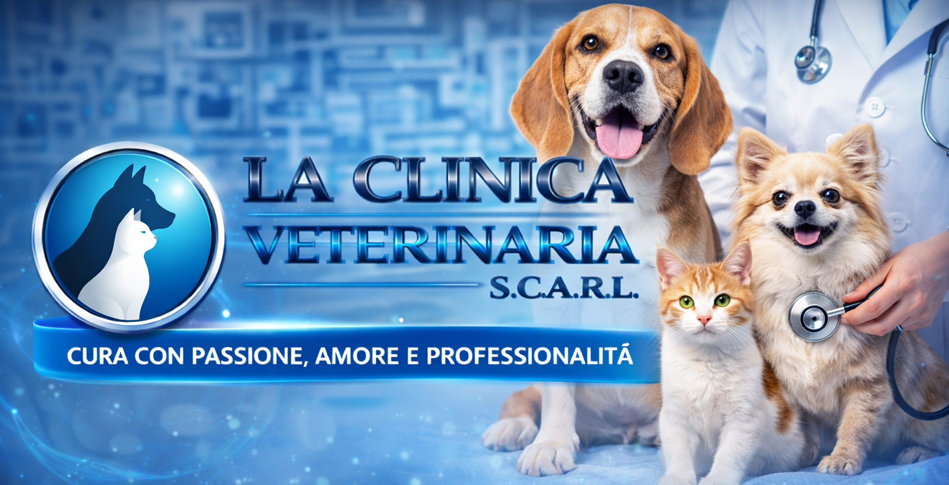 Degenza e terapia intensiva | cani e gatti
