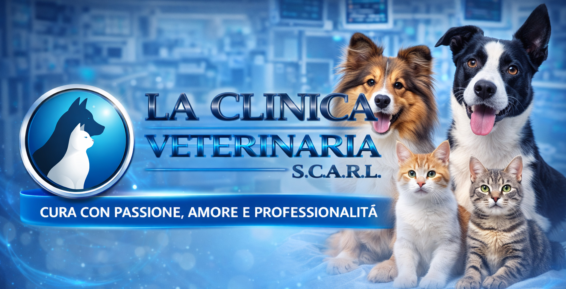 Pronto Soccorso h24 | animali
